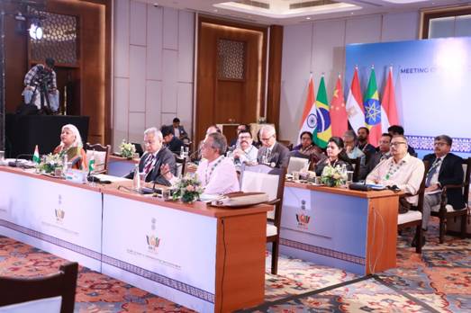 Meeting of Heads of National Statistical Offices of BRICS Countries